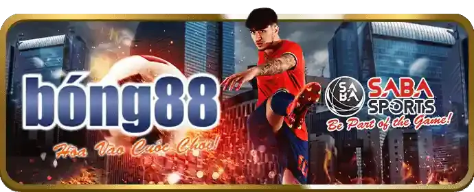 Kèo BDD (Hòa) trong đá gà Donclub